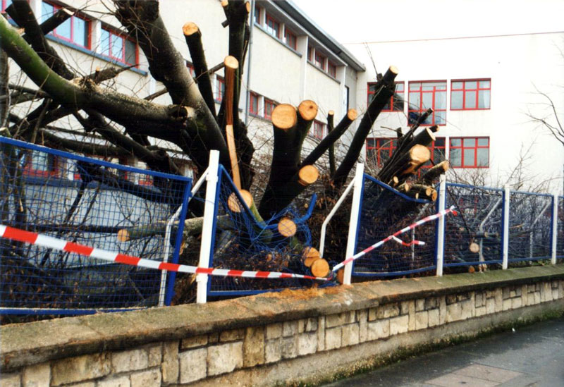 Dégât de la tempête